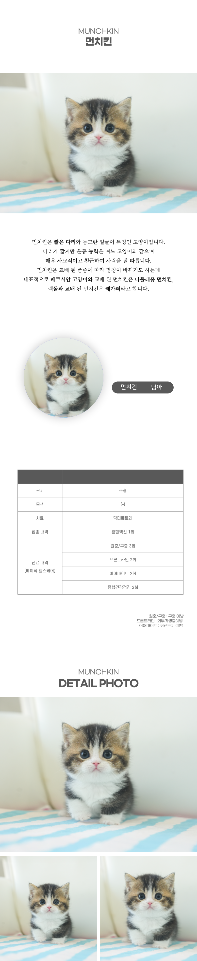 먼치킨_상세이미지_2